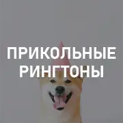 Прикольные на Pesnir.net