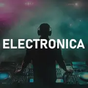 Electronica на Pesnir.net