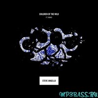 Скачать песню Steve Angello - Children Of The Wild (feat. Mako)