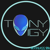 Скачать песню Tony Igy - Overcast (Original Mix)