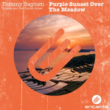 Скачать песню Tommy Baynen - Purple Sunset Over The Meadow (Bee Hunter Remix)