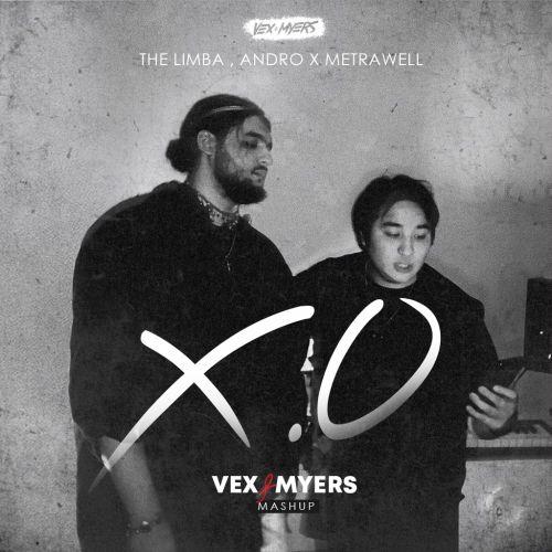 Скачать песню The Limba & Andro feat. Metrawell - X.O (VeX & Myers Mashup)