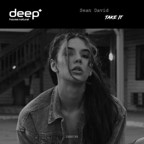 Скачать песню Sean David - Take It (Original Mix)