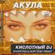Скачать песню Акула - Кислотный DJ (Dobrynin & Alex Shik Remix)