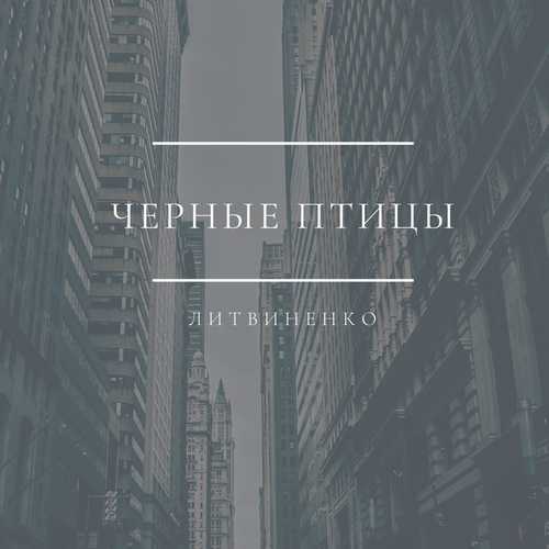 Скачать песню Литвиненко - Чёрные Птицы