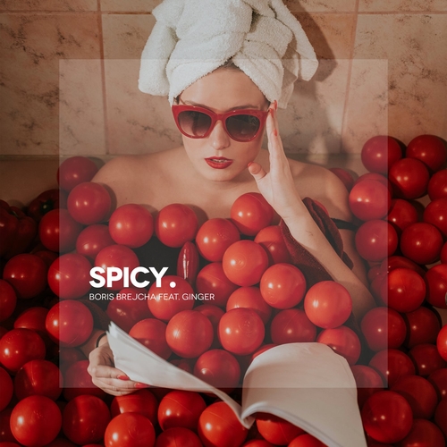 Скачать песню Boris Brejcha & Ginger - Spicy (Original Mix)