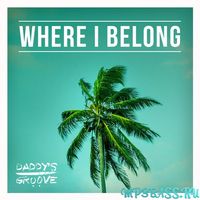 Скачать песню Daddy's Groove - Where I Belong (Extended Mix)