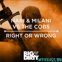 Скачать песню Nari & Milani vs The Cobs - Right Or Wrong (Original Mix)