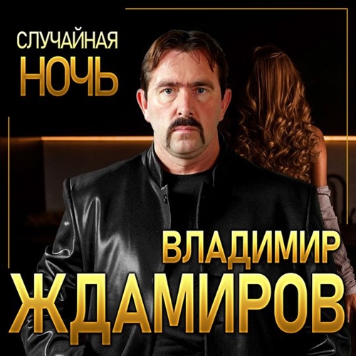 Скачать песню Владимир Ждамиров - Случайная Ночь