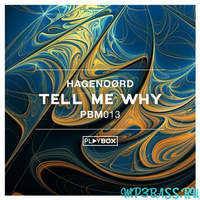 Скачать песню Hagenoørd - Tell Me Why (Original Mix)