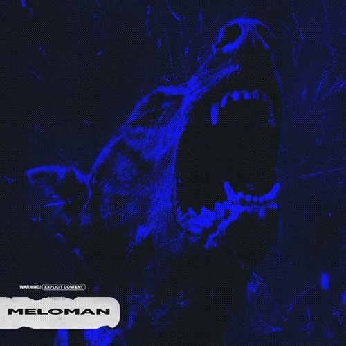 Скачать песню Бодя Мир642 - Meloman (feat. Dewensoon)