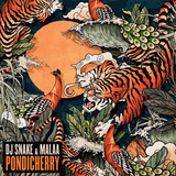 Скачать песню DJ Snake - Pondicherry (feat. Malaa)