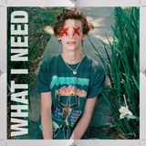Скачать песню Payton - What I Need