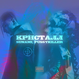 Скачать песню Sunami - Кристалл (feat. Pussykiller)