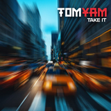 Скачать песню TomYam - Take It (Radio Edit)