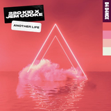Скачать песню 220 Kid - Another Life (feat. Jem Cooke)
