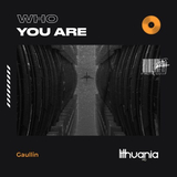 Скачать песню Gaullin - Who You Are