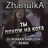 Скачать песню Zhanulka - Ты Похож На Кота (Dj Roman Arbuzov Remix)
