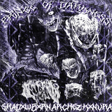 Скачать песню Shadxwbxrn - Prince Of Darkness (feat. Archez & Kxnvra)