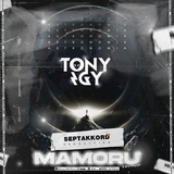 Скачать песню Tony Igy - Astronomia (Mamoru Remix)