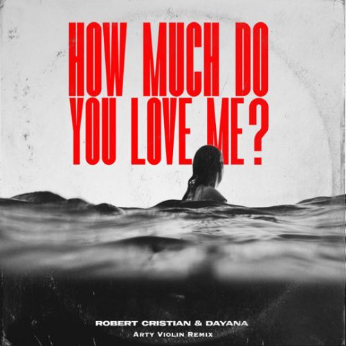 Скачать песню Robert Cristian & Dayana - How Much Do You Love Me? (Arty Violin Remix)