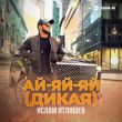 Скачать песню Ислам Итляшев - Ай-Яй-Яй (Дикая)