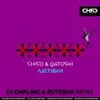 Скачать песню Chico & Qatoshi - Ластівки (DJ Darling & Butesha Remix)