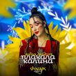 Скачать песню Polina Dashkova - Плакала Калина (Shnaps Remix)