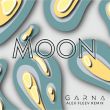 Скачать песню Garna - Moon (Alex Fleev Remix)