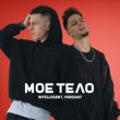 Скачать песню Intellegent - Моё Тело (feat. Vsegda17)