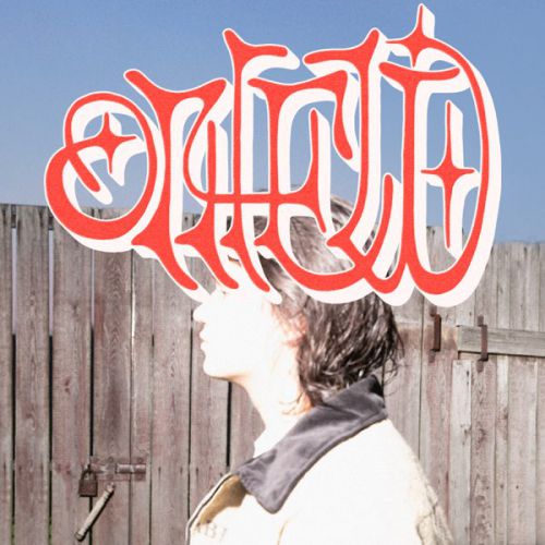 Скачать песню Saluki - Огней