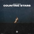 Скачать песню Cale & Slva - Counting Stars (Extended Mix)