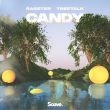 Скачать песню Rasster - Candy (feat. Treetalk)
