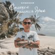Скачать песню Нурминский - Солнцем Греется Душа