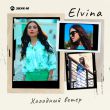Скачать песню Elvina - Холодный Ветер