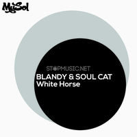 Скачать песню Blandy & Soul Cat - White Horse (Original Mix)