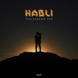 Скачать песню Habli - Последний Раз