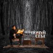 Скачать песню Baryk - Твоє Серце