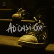 Скачать песню Carla's Dreams - Adidașii Gri