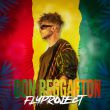 Скачать песню Fly Project - Don Reggaeton