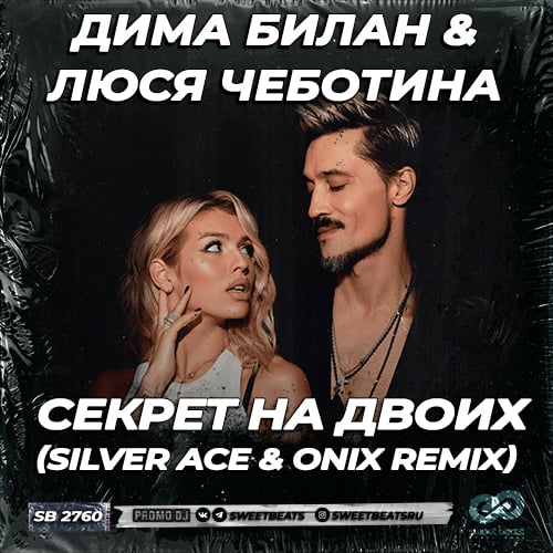 Скачать песню Дима Билан & Люся Чеботина - Секрет На Двоих (Silver Ace & Onix Remix)