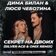 Скачать песню Дима Билан & Люся Чеботина - Секрет На Двоих (Silver Ace & Onix Remix)