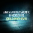 Скачать песню Anyma & Chris Avantgarde - Consciousness (Greg Downey Remix)