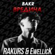 Скачать песню Bakr - Вредина (Rakurs & Ewellick Remix)