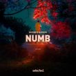 Скачать песню Goodboys - Numb (feat. Avaion)