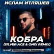 Скачать песню Ислам Итляшев - Кобра (Silver Ace & Onix Remix)