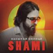 Скачать песню Shami - Засыпай Солнце