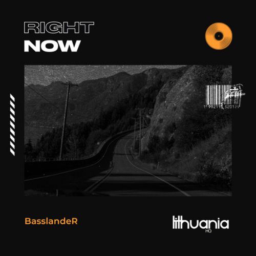 Скачать песню BasslandeR - Right Now (Na Na Na)