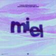 Скачать песню Fabian Hernandez Dfh & Juan Kordoba feat. Mathieu Ruz - Miel (Extended Mix)