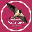 Скачать песню Chico & Qatoshi - Ластівки (Fizruk Remix)